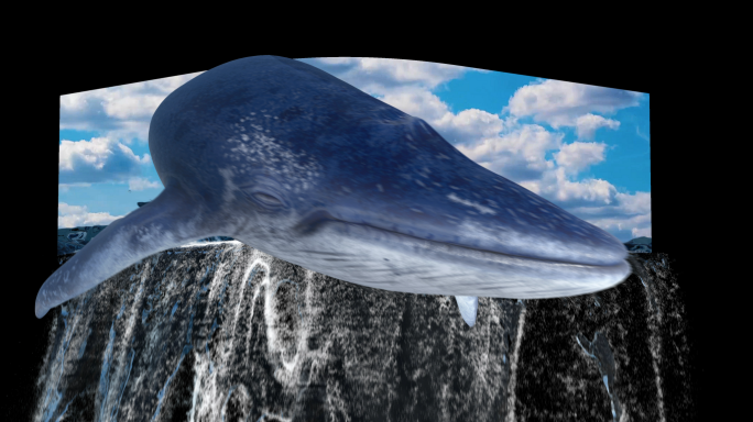 【原创】5k裸眼3d鲸鱼出水瀑布水流出屏