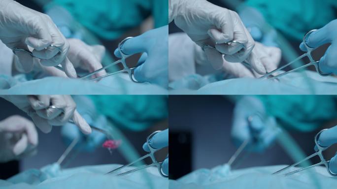 外科手术手术剪刀无菌环境开刀钳