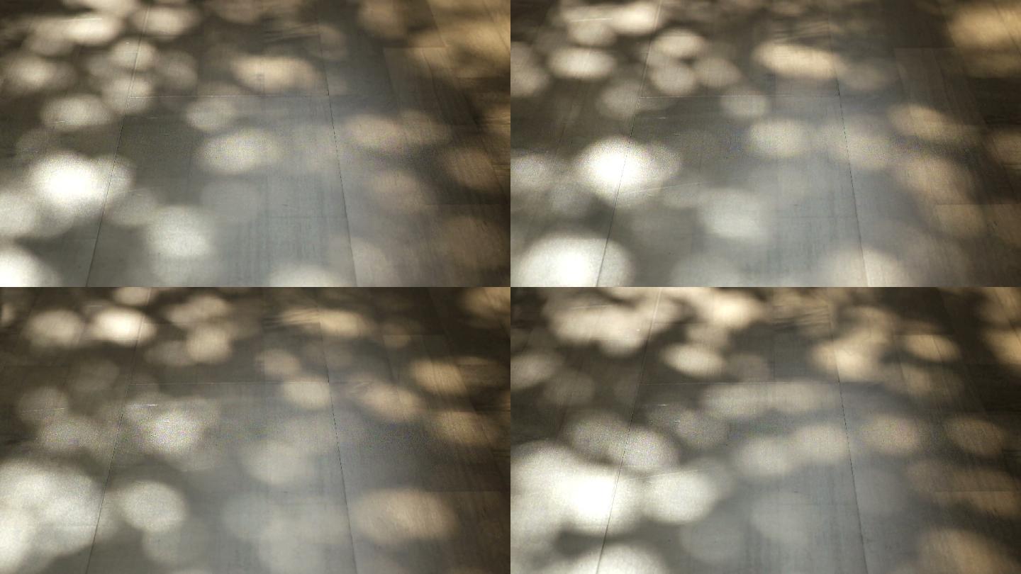 木地板上的树叶阴影