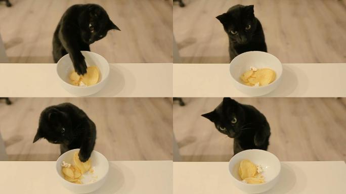 猫从桌子上偷薯条