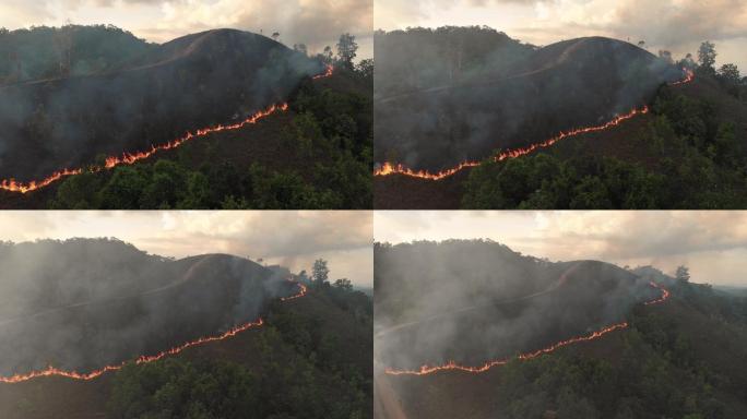 森林火灾自然灾害引燃火灾