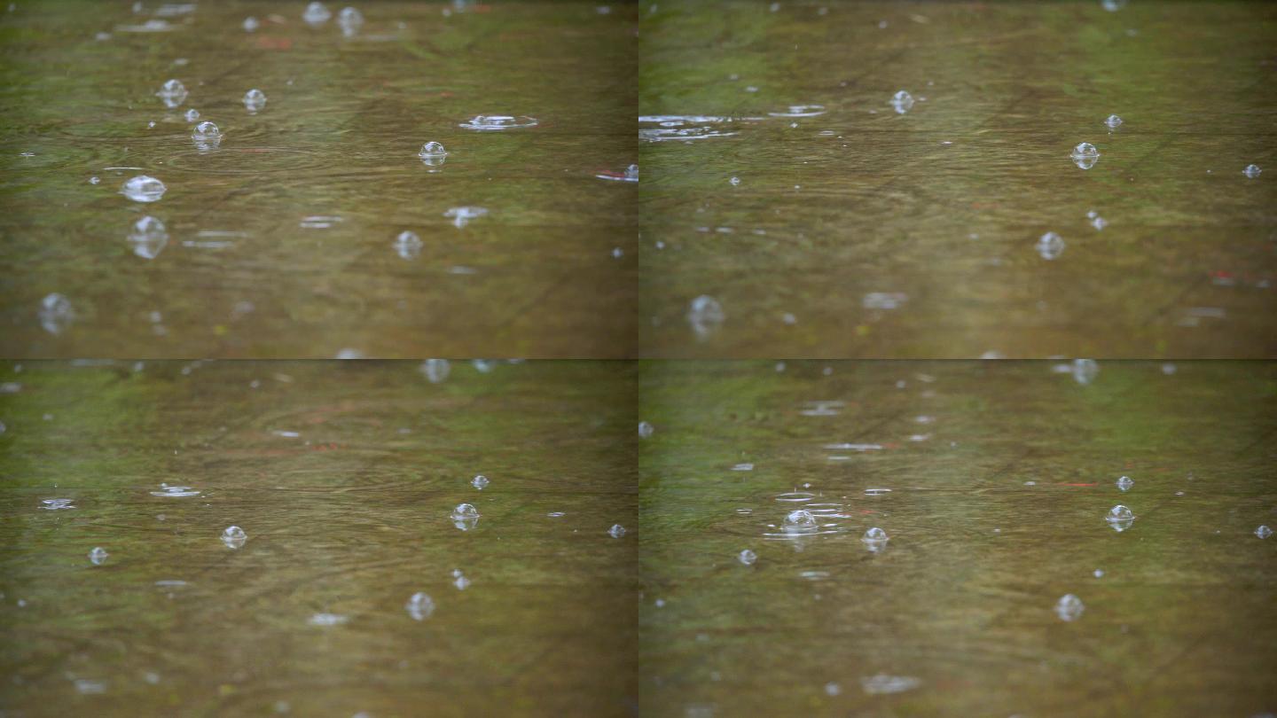 下雨水滴慢速实拍视频-2