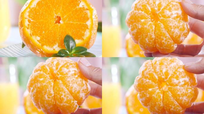 春见柑橘视频