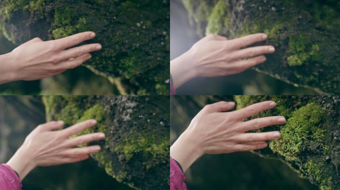 女性手触摸岩石和植物的特写镜头