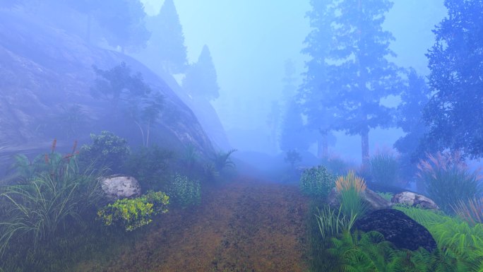 野外森林山路古道小径小路-大雾