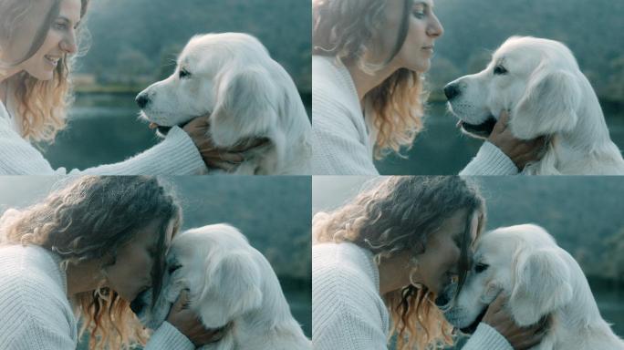 亲吻拥抱宠物可爱白色安抚