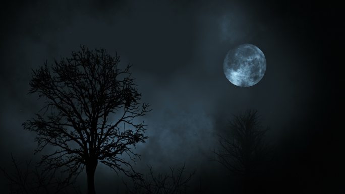 夜晚的满月在云雾缭绕的林间升起