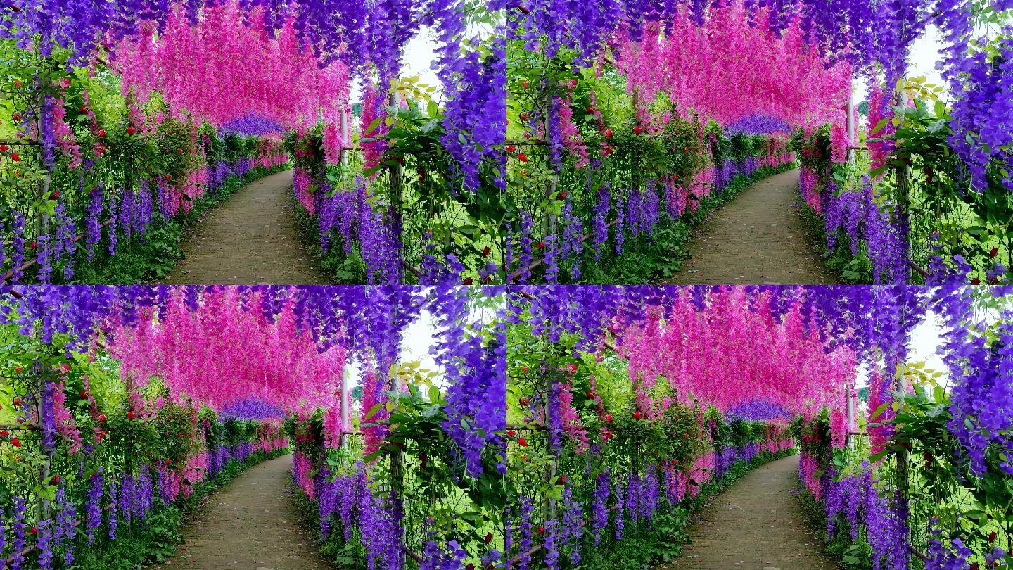 紫藤花，横幅3840X2160