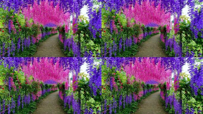 紫藤花，横幅3840X2160
