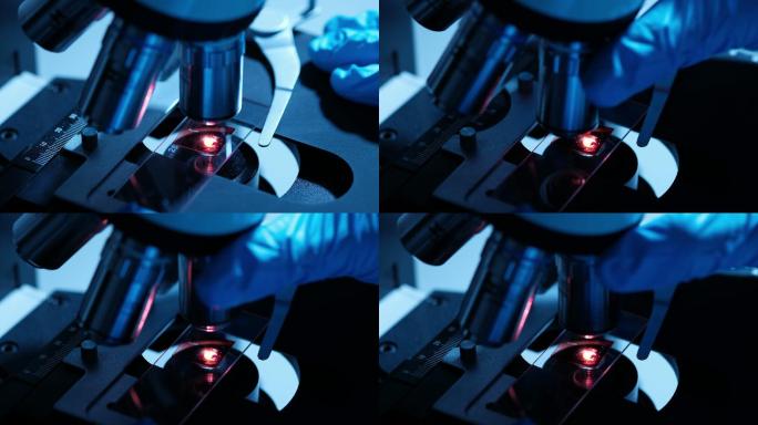 科学家正在生物实验室里使用显微镜
