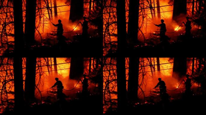 三名勇敢的消防队员与森林大火搏斗