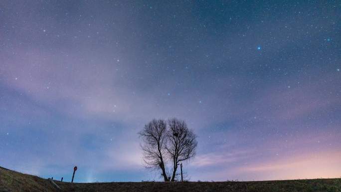 一棵树与满天星空的自然风景