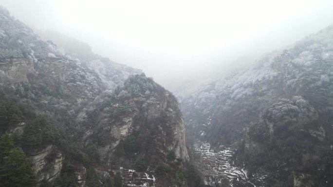 太行山雾凇雪松雪山冬天