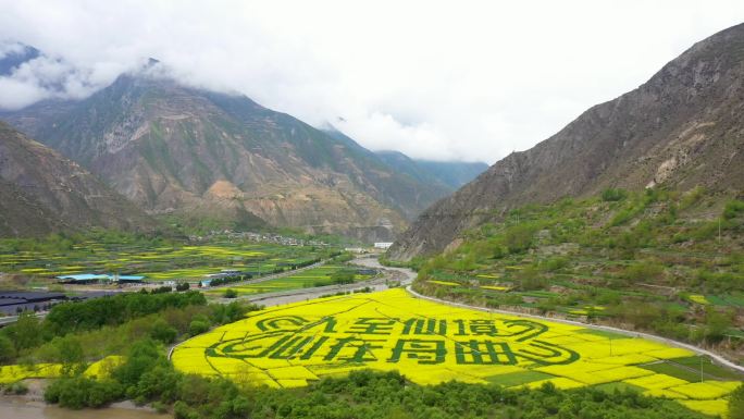 甘南州舟曲县山川油菜花S