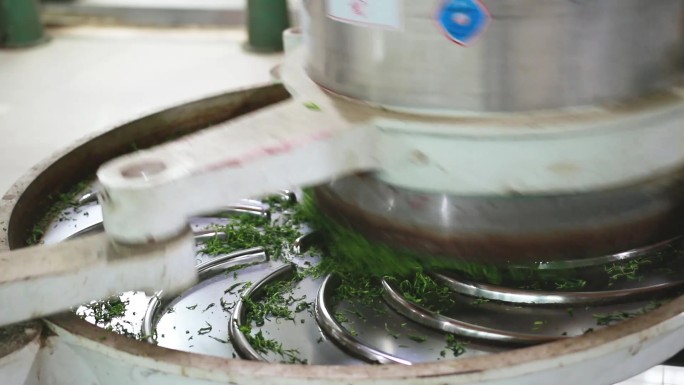 茶叶制作流程