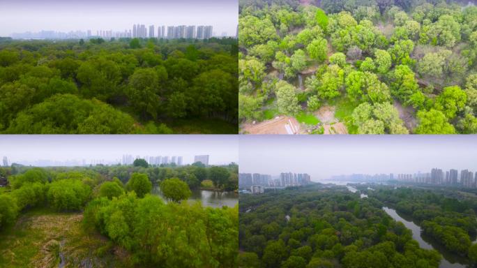 【1080p】航拍洛阳洛河湿地公园