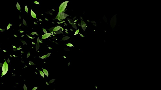 茶叶飞舞特效