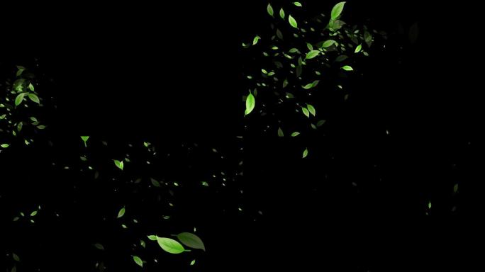 茶叶飞舞特效