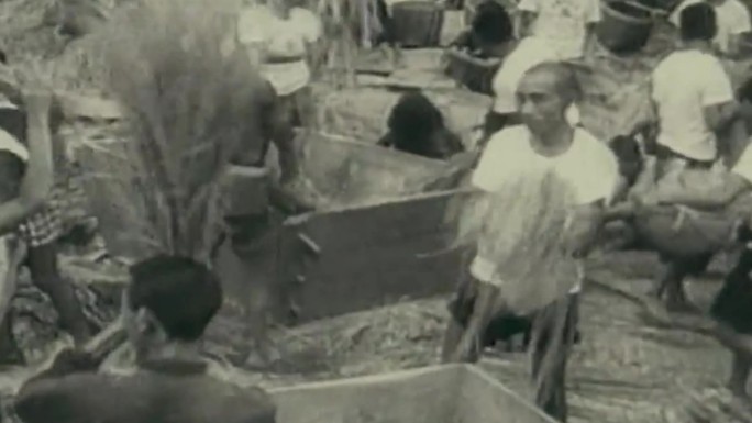 50-60年代农村劳动