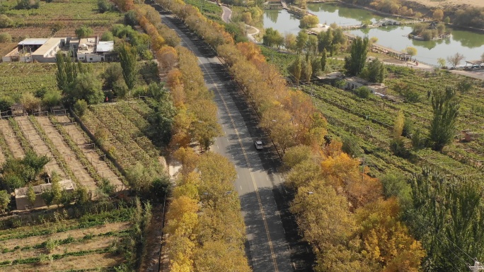 新疆边陲小镇航拍入秋后的景色