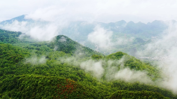 原创4K航拍大自然森林大气自然风光