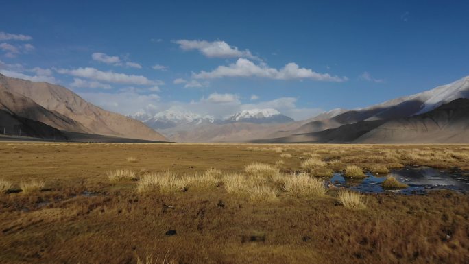 新疆慕士塔格草原旅拍