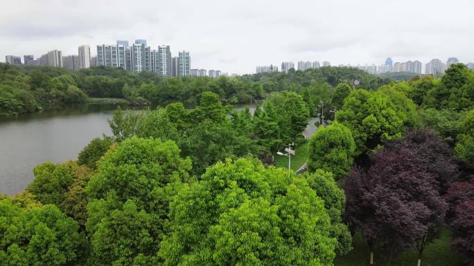 湖水建筑倒影波光粼粼湿地公园健身步道休闲