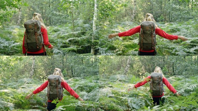 徒步旅行的女人穿越穿梭树林山林披荆斩棘