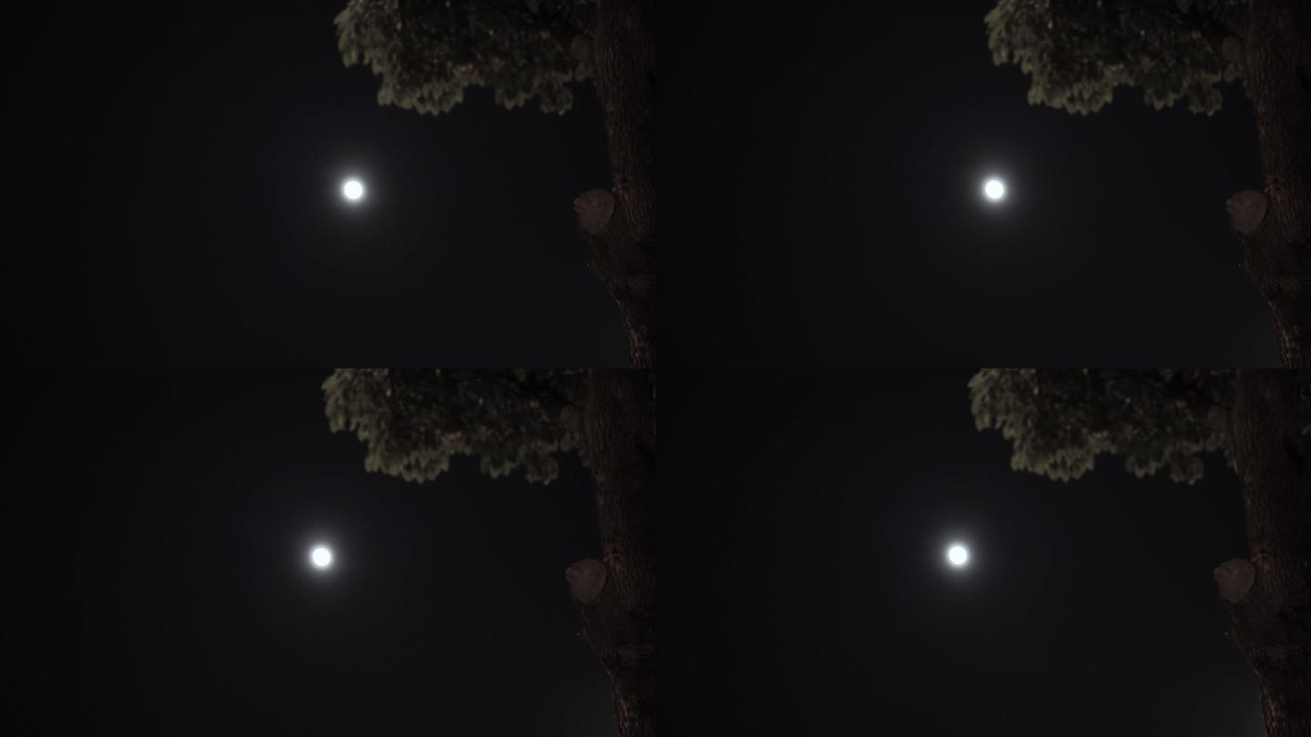 月亮夜景