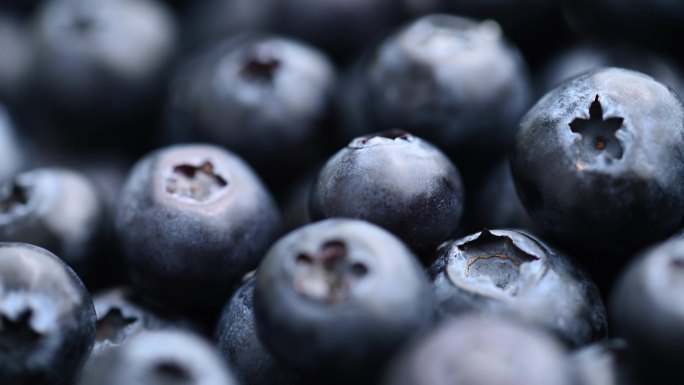 4K蓝莓天然健康浆果水果