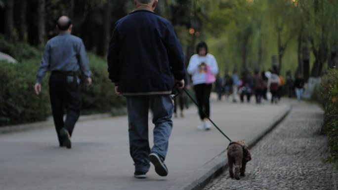 老人路上独自遛狗