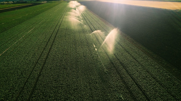 空中拍摄的用洒水器灌溉的绿地。