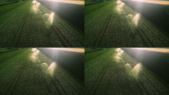 空中拍摄的用洒水器灌溉的绿地。