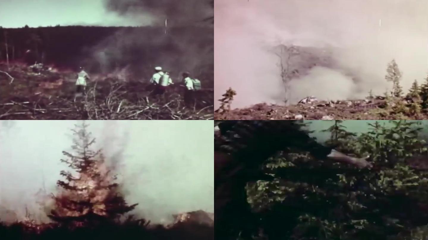 60年代森林防火