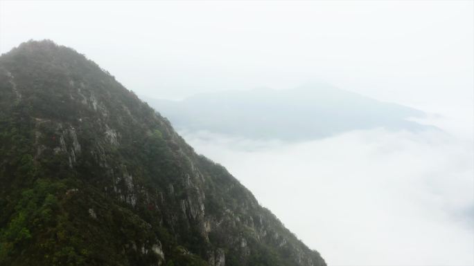 4K云海山林长白山自然环境生长