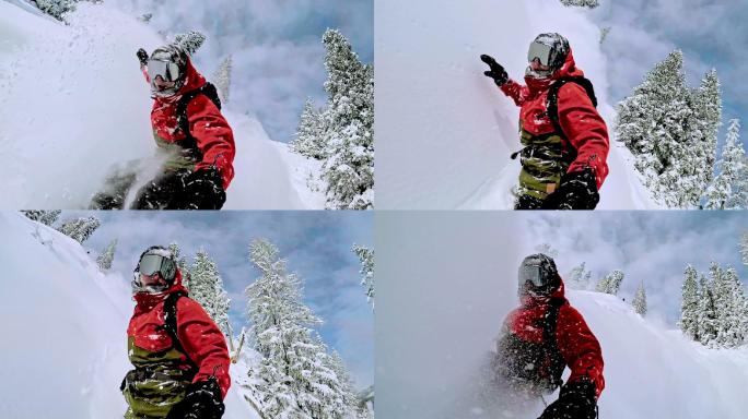 自由式滑雪板