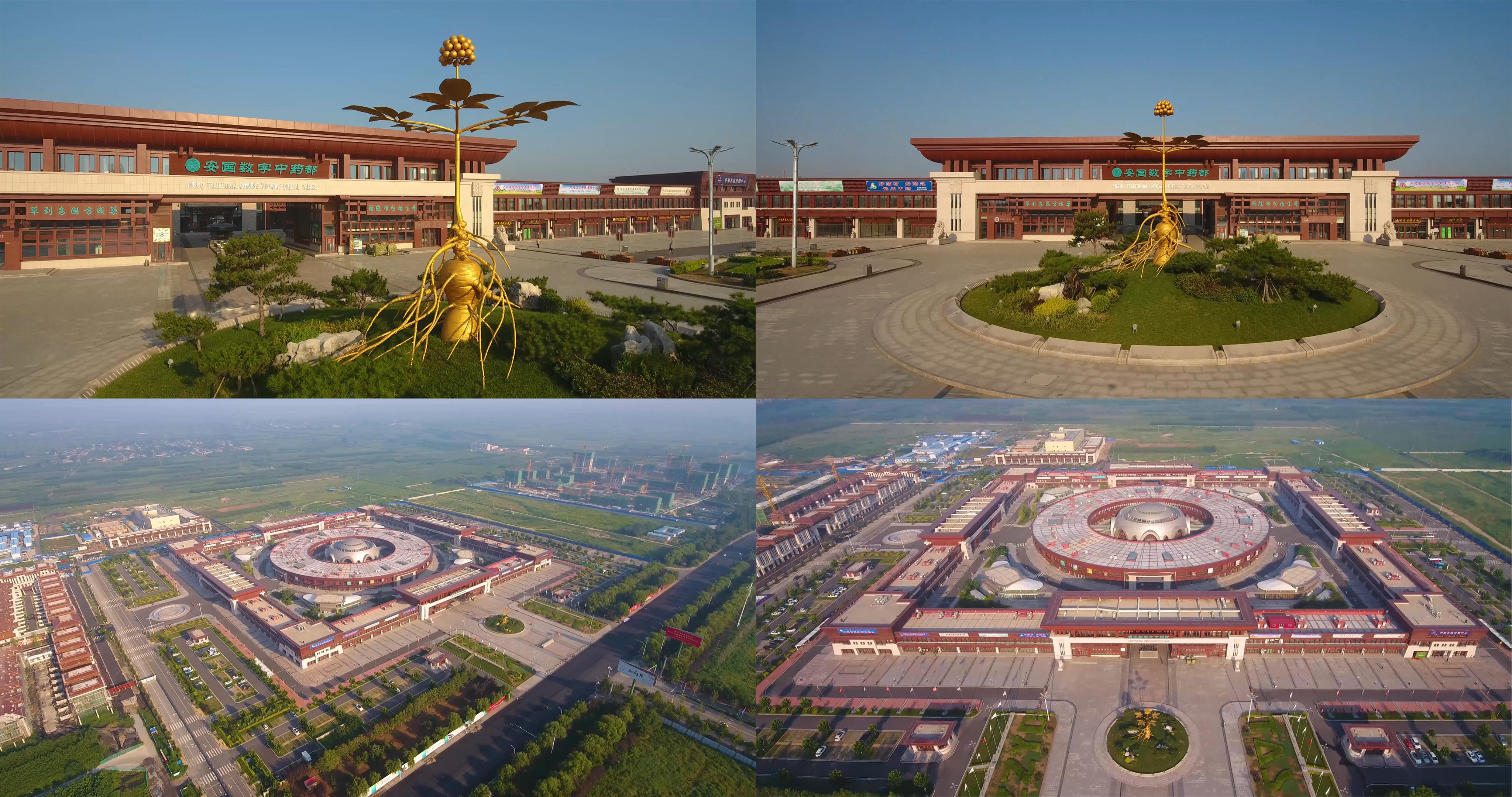 安国数字中药都