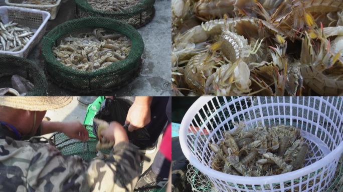 秋季捕鱼季码头丰富的新鲜海产品