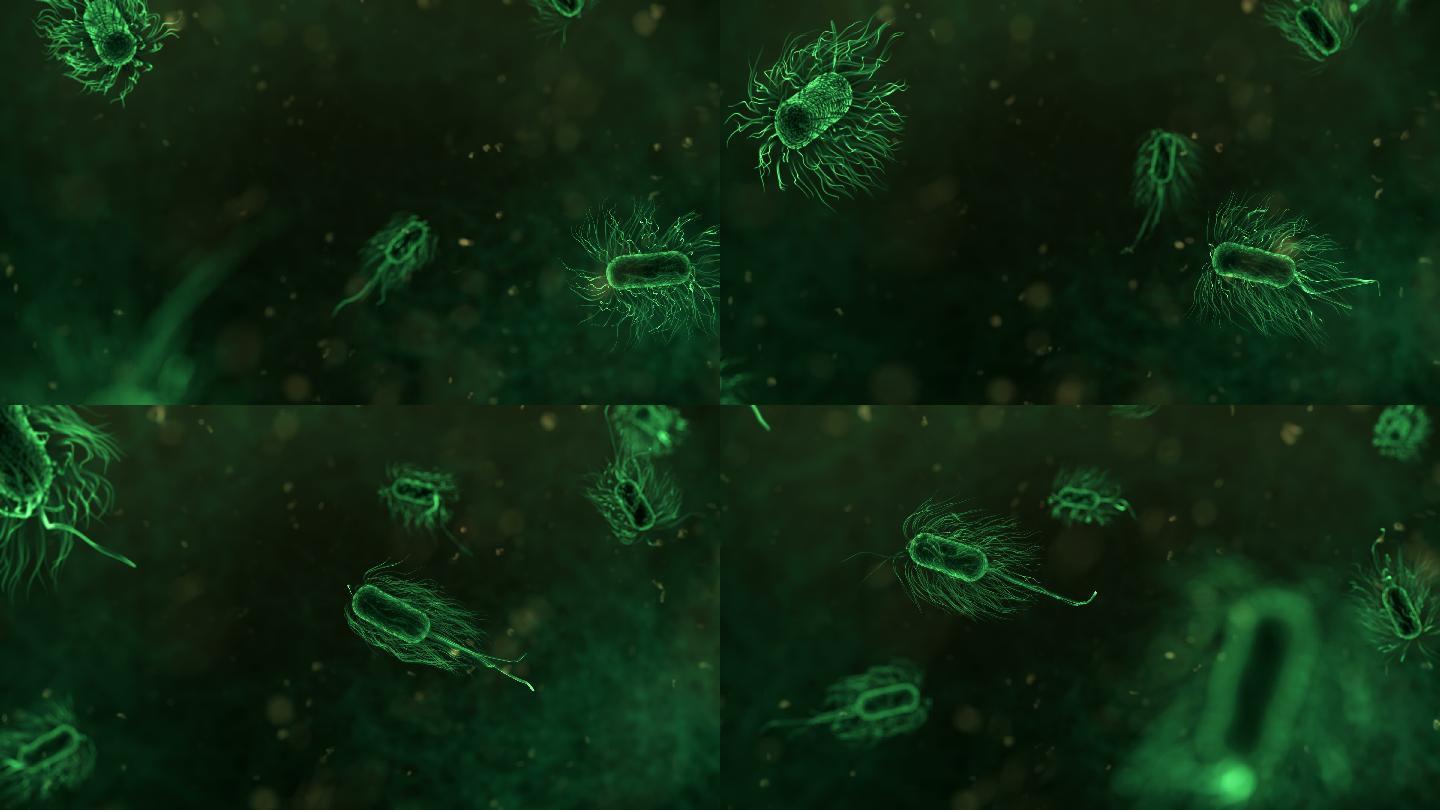 大肠杆菌病毒病菌生长繁殖游泳绒毛