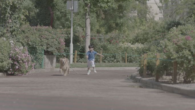 小孩和狗狗奔跑