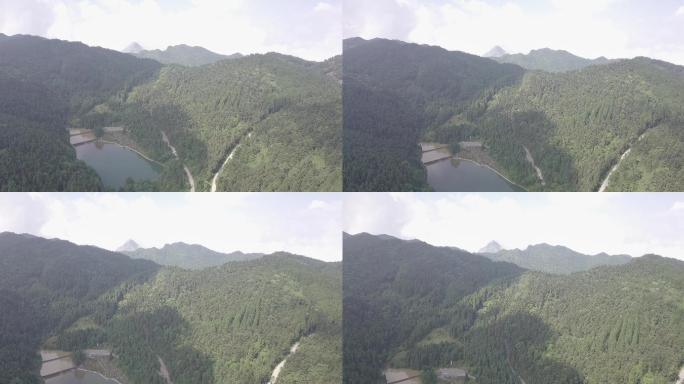 4K航拍武陵山森林公园湖泊slog模式