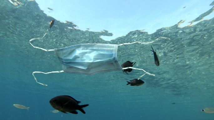医用口罩污染海洋海洋鱼环境