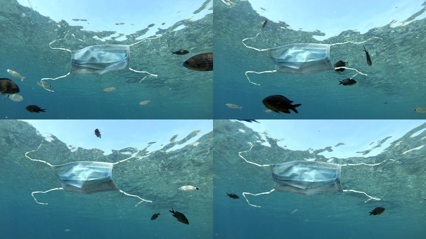 医用口罩污染海洋海洋鱼环境