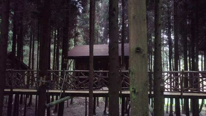 4K航拍武陵山森林公园木屋slog模式