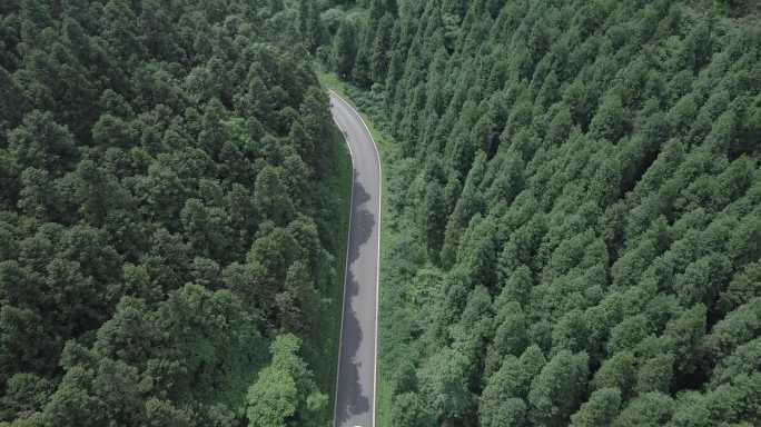 4K航拍武陵山森林公园汽车slog模式