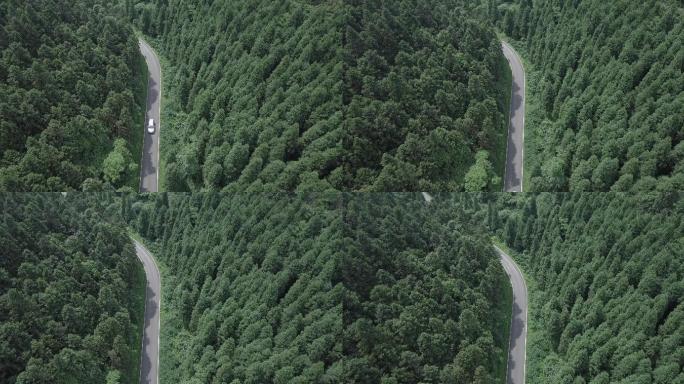 4K航拍武陵山森林公园汽车slog模式