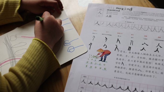 幼儿写汉字小孩写汉字学习汉字甲骨文篆书