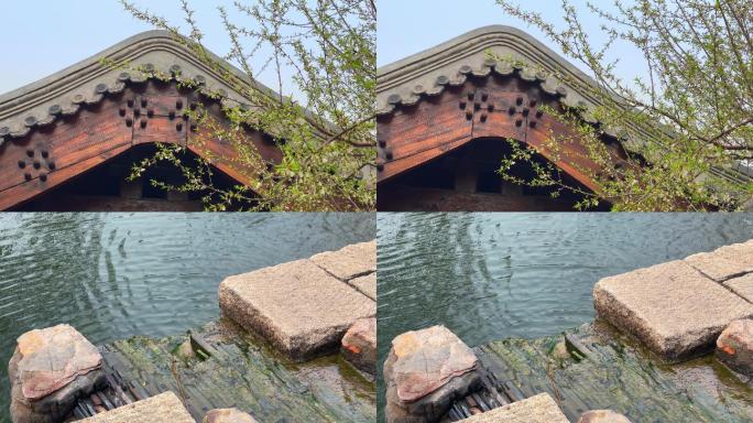 原创拍摄北京三里河公园春天景色