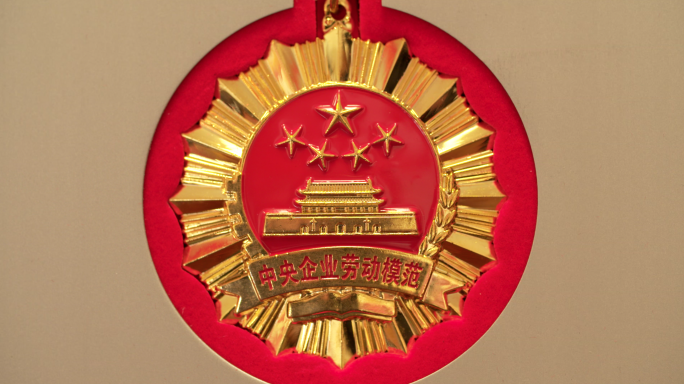 央企劳模奖章