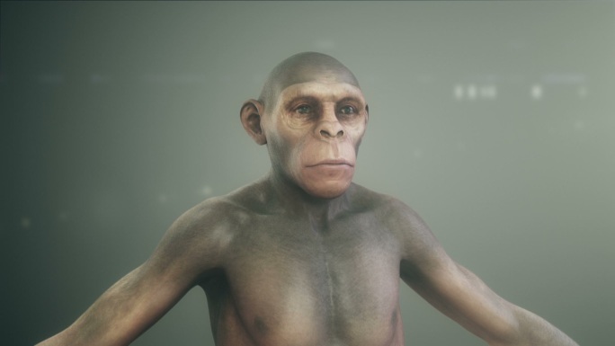 人类进化类人猿达尔文人类演变